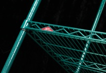 metroseal